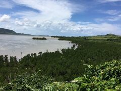 次はカトレ展望台に移動。
石長田海岸のヒルギ（マングローブ）林を見おろします。