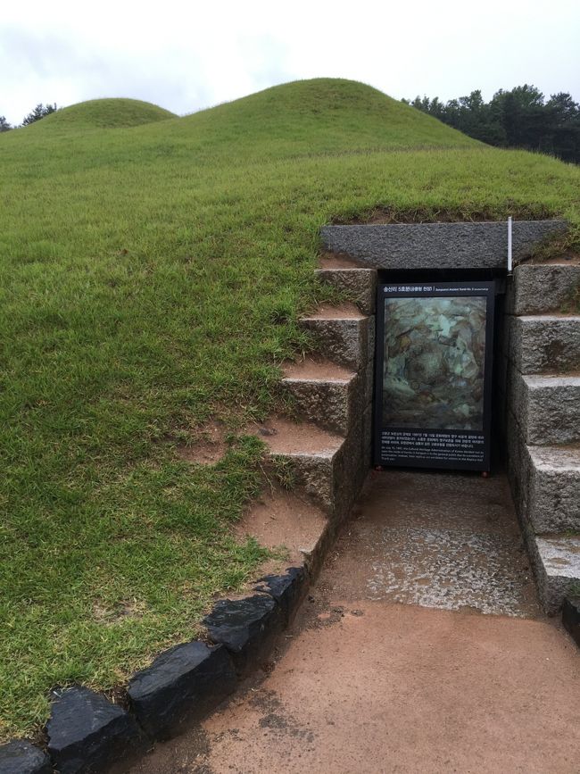 資料館の外に出ると古墳が並んでいます。