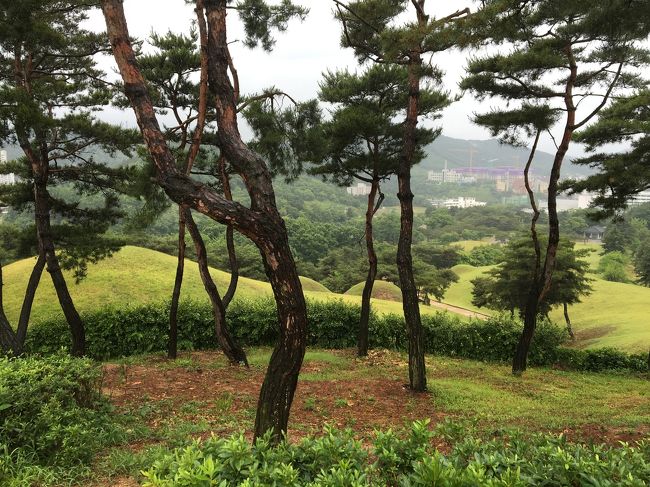 古墳群を頂上から