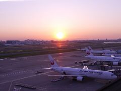 早朝の便に乗るため、前日は羽田に前泊です。
空港は好きな場所なので、ゆっくりできるのは嬉しい。
ずっと気になってたスターリーカフェでプラネタリウムも見れました！