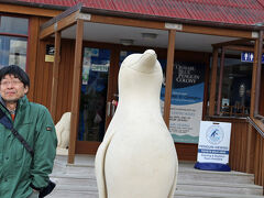 18:00　ブルー・ペンギン・コロニー

web site から予約。
メールには、おおよそのペンギンの上陸時刻。
上陸予定 18:30   25〜50羽帰巣　とあった。
ペンギンの撮影は御法度です。