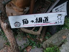 山をどんどん下ります♪
猫の細道＾＾