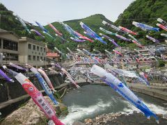 では、ちょっとの間に散策していきましょう！～、

さくら橋から眺める鯉のぼり～、
今日も五月の風に吹かれてとても気持ちよく泳いでます！。