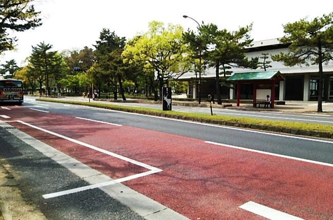 そろそろ帰りの時刻。　↑北海道のとまた違う鹿注意看板が鹿への敬意を感じる。<br />近鉄奈良駅から見学旅行小学生団体と乗り合わせる。<br />普段こんな大勢の子供と接する機会が無いから会話が興味深い、それも大阪の子。<br />難波でドヤドヤと降りていって最後に先生が「お騒がせしました」と頭を下げた。<br />ええんやで。こっちもおもろかったで。<br /><br />