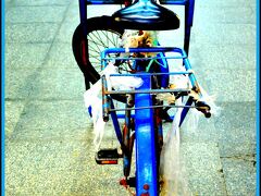 ママチャリっぽいですが、前に荷台と籠が装着されており......青果仕様....