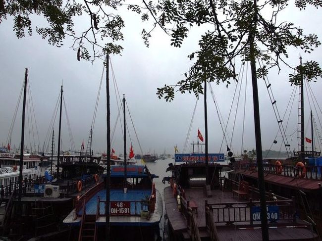 やっと着いたハロン湾は……濃霧でした泣き顔 <br />ハロン湾はそびえ立つ奇岩が有名な名所なのですが、 <br />↓真っ白です。本当は写真の奥に奇岩があるはず！ 