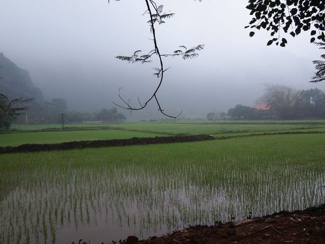 広がる田園風景 <br /><br />お昼ごはんはバイキング形式でしたが、 <br />はっきり言って美味しくなかった(^^; <br />２日目は美味しかったのにな〜 <br />