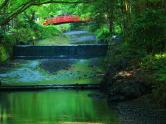 7：00　小國（おくに）神社/宮川

昨晩出発して遠州森町PAで車中泊、6時起床。

出雲大社の「大国」に謙り「小国」を名乗るのだとか。
遠江国一宮。


拝観料　無料
駐車場　無料