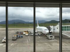 目が覚めたら現実に。
また三本の飛行機を乗り継いで北国に帰ります。
