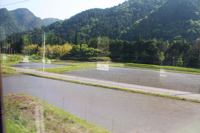 すっかり、田植えの準備が整った田。<br />もう、田植え本番を待つばかりの状態になっています。<br /><br />