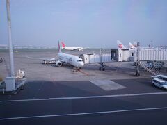 朝一番の飛行機で羽田空港から【広島空港】へ飛び立ちます。