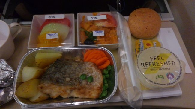 機内食は、特食職のシーフード！味はとてもおいしかったのですが、本当に魚（カジキマグロ）しかなくて、ご飯もパスタも無く、最後飽きちゃいました。<br />ドリンクはジュースのみで、アルコールは一切ありません。