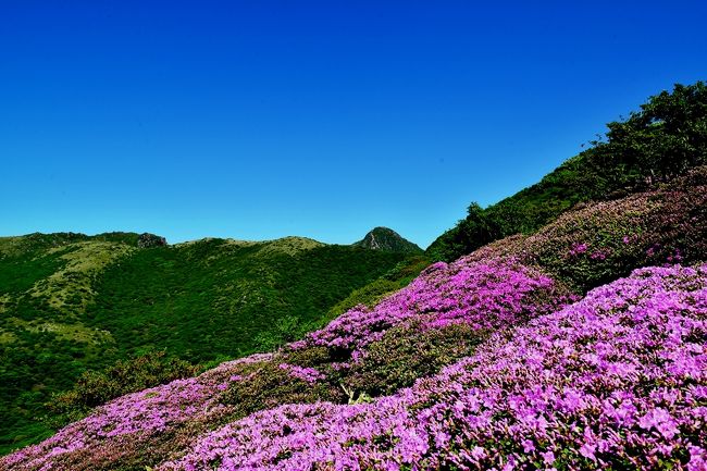 デジカメ 人気 旅行 デジカメ 人気 旅行