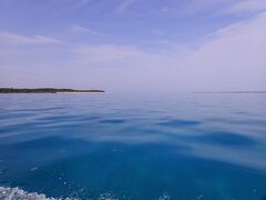 2日目、この日は見事なベタ凪！絶好のダイビング日和です。
実は2年前にライセンスを取っていたんですが、それ以来のダイビングです。
幸い（？）この日は他にお客さんがいなかったので、インストラクターさんとマンツーマン。ブランクがあってリハビリ感覚なので、良かったかも。