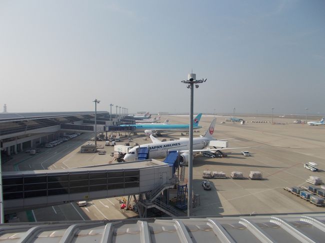 一番手前が、搭乗機です。<br /><br />JAL　７８７−８