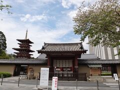 次は薬師寺です
今回は御朱印は「一人一体まで」となっていて（それは構わないんだけど）
見本が「薬師如来」しか出ていなくて焦りましたが
これまで授与していた他の御朱印をいただくことも可能でした