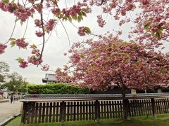 次は北円堂限定公開中の興福寺へ