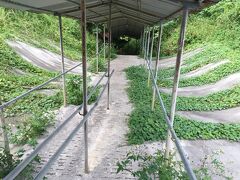 鍾乳洞の入り口ですが、やっぱり怪しい