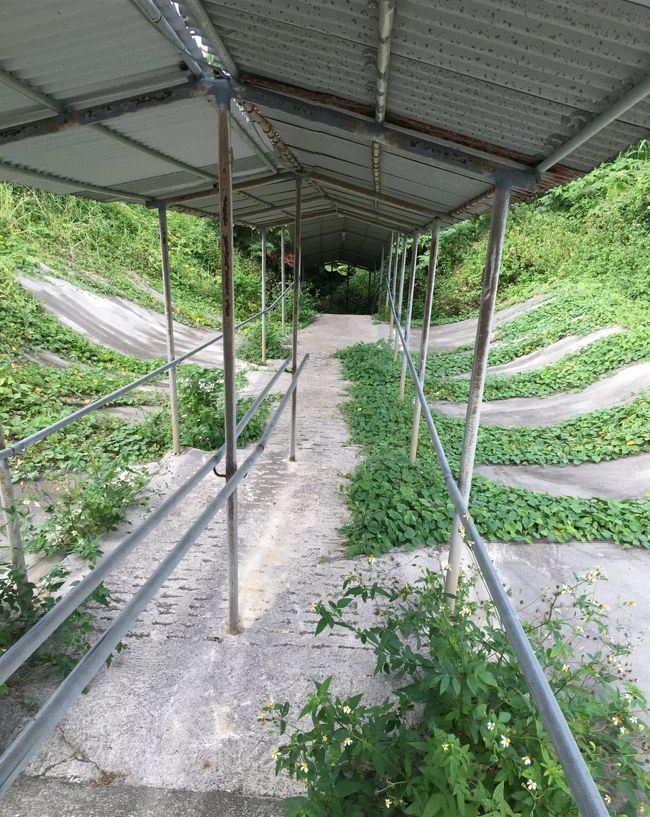 鍾乳洞の入り口ですが、やっぱり怪しい