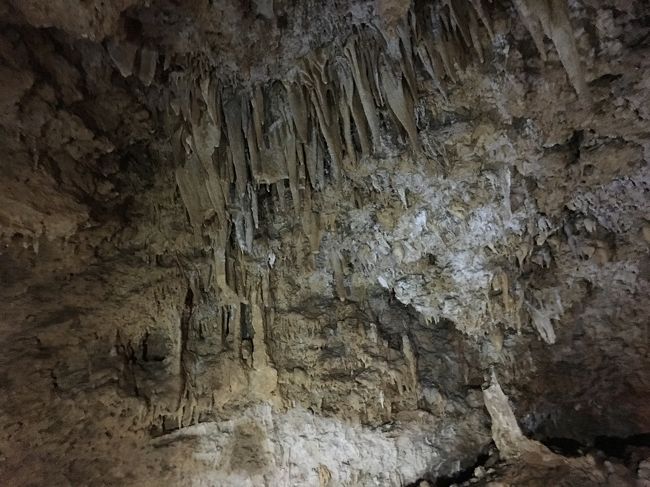 やっぱりオバケ出そう〜〜<br />