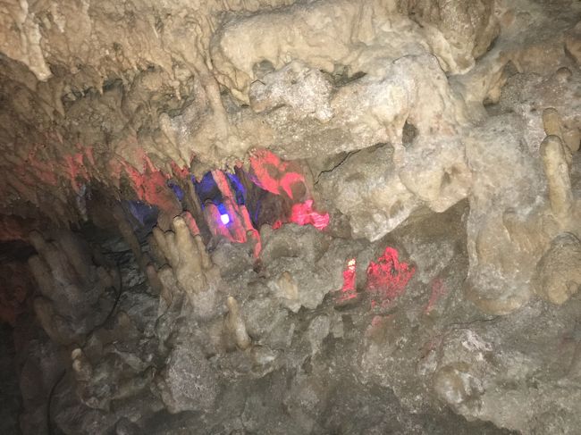 やっぱり<br />怖いから、、て途中で母が立ち止まる。娘は先に行ってしまう。私、どうしたらいい？<br /><br />結局、娘が戻ってきて、帰ろうということになり、慌てて、逃げるように地上へでてきました。笑