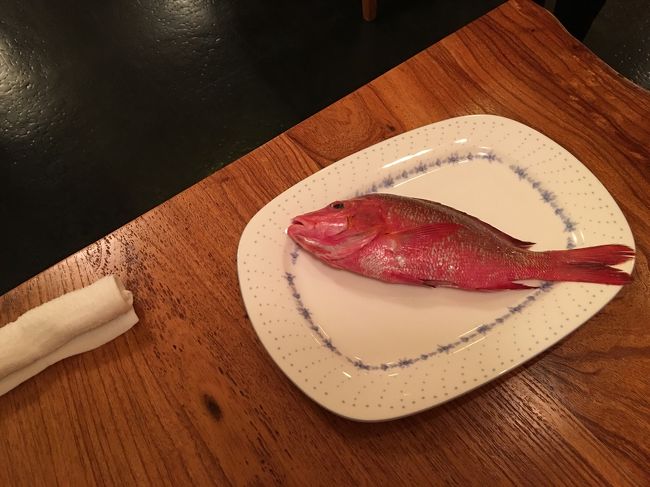 夕食はホテルの一階にある  はまゆうさんへ。<br />古民家風居酒屋で、期間限定のお店です。<br />店員さんがオススメのお魚を見せに来てくれました。<br />このお魚、名前は忘れちゃいました。<br />赤いタイのような、<br />