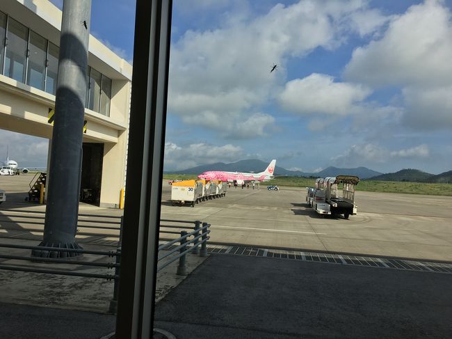 ピンクのジンベイジェットさん。<br />今日もいい天気！