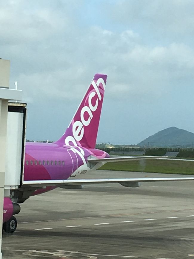 私達はピーチで関空まで帰ります。