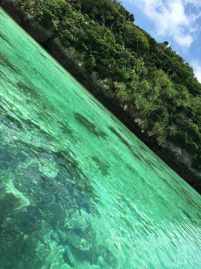 まだまだ行っていないところがあるので、また、来ます。<br />母も娘も大満足の弾丸旅でした。<br /><br />走り書きの旅行記を見ていただき、本当にありがとうございます。