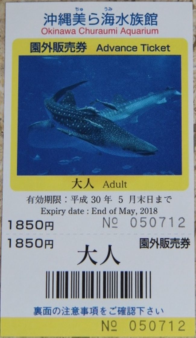 沖縄旅行16年 美ら海水族館 古宇利島ほか 美ら海 本部 今帰仁 沖縄県 の旅行記 ブログ By 温泉大好きさん フォートラベル