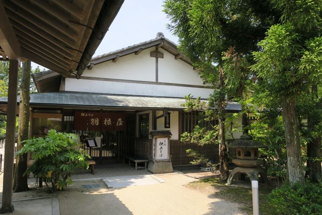 お昼は駐車場の使える伝承館内の羽根屋でおそばをいただきました．<br />店内に入ると予約席で半分は埋まってました．<br />私たちの後に入店された方は待たされていたので，土日祝日は予約が無難なようです．