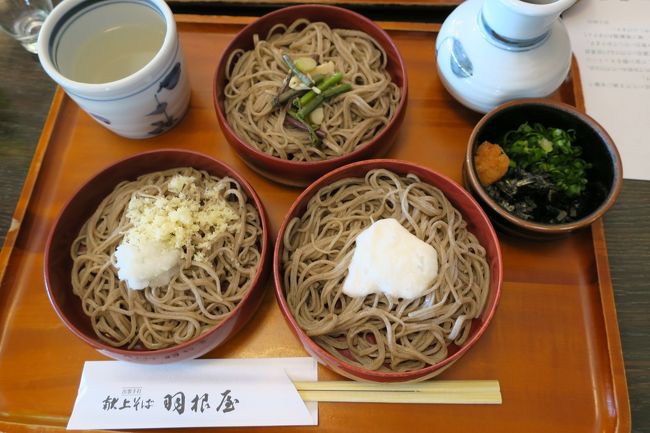 私が注文したのは三色わりこそば．