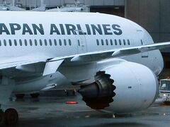 昼前に地方空港から羽田そして成田空港へ移動、地方在住者はここまでですでに疲れます。ハノイ行きJAL751は18時30分発、到着予定22時55分。