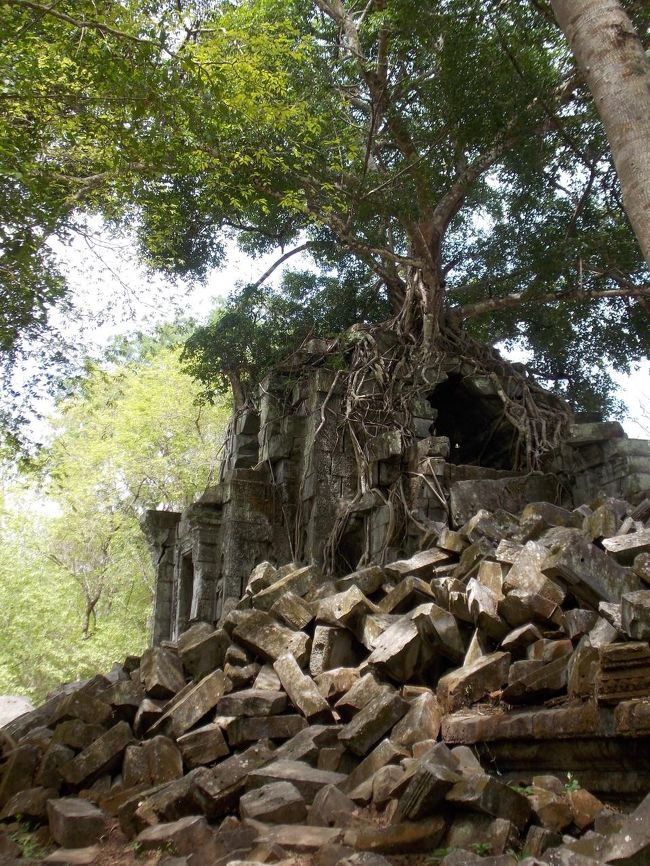 そして、ここがラピュタのモデルと噂されるところです。<br />その裏側。