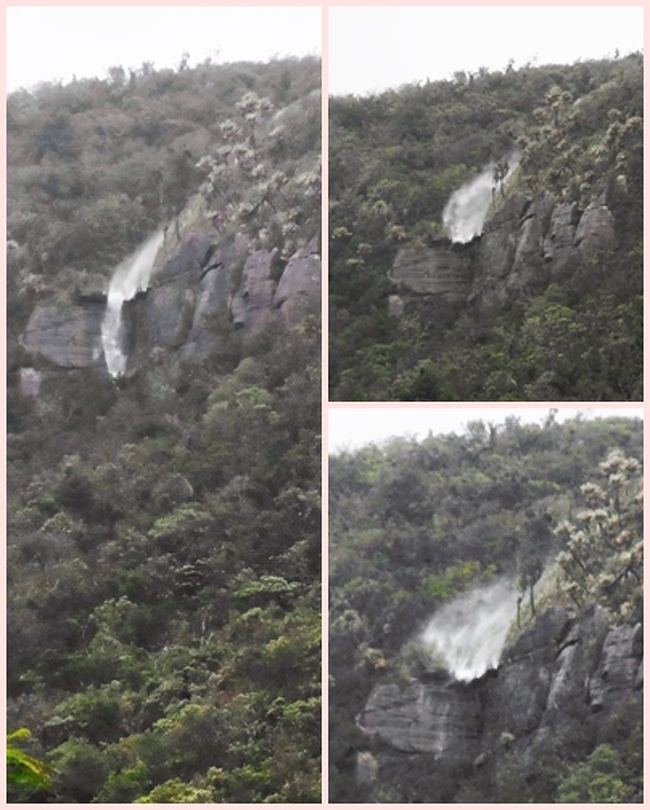その途中の、由布島よりもずっと海中道路拠りの山上に、また滝が見えた。<br />この滝は、下に流れるべき（写真左）なのに、強風に煽られて上に向かって水煙を噴き上げている（写真右）ように見えた。<br />遠くに見えたのでズームにしたせいか、ぼんやりしてしまった。<br /><br />その上この滝は、どうやらいつも道路から見えるわけではないらしい。<br />夕べから雨風が激しかったので、にわかに出現した滝らしいのだ。<br />地元ナンバーの車から降りた男性が、しばらくこの滝に見入っていたのは、そう言うわけだったのだろう。