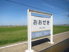 10:12　大関駅に着きました。（福井駅から33分）

麦畑の中に駅があります。（長閑で良いですね〜）