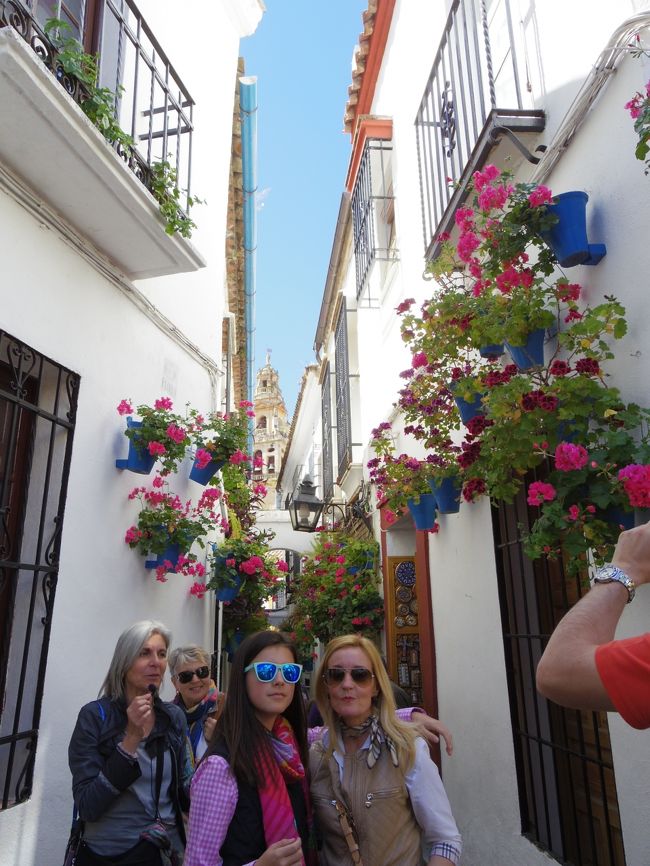オランダ スペイン 花の旅 No 9 花の街コルドバ 公開パティオだけでなく街中花いっぱい コルドバ スペイン の旅行記 ブログ By 夏への扉さん フォートラベル オランダ スペイン 花の旅 No 9 花の街コルドバ 公開パティオだけでなく街中花いっぱい コルドバ スペイン の旅行記 ブログ By 夏への扉さん フォートラベル