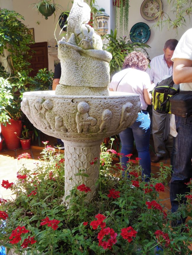 オランダ スペイン 花の旅 No 9 花の街コルドバ 公開パティオだけでなく街中花いっぱい コルドバ スペイン の旅行記 ブログ By 夏への扉さん フォートラベル オランダ スペイン 花の旅 No 9 花の街コルドバ 公開パティオだけでなく街中花いっぱい コルドバ スペイン の旅行記 ブログ By 夏への扉さん フォートラベル