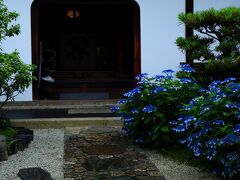 10：00　建仁寺　霊源院（れいげんいん）

甘茶の時期の特別公開。
紫陽花の変異種の甘茶　8種200株が見頃。


特別公開
2016/5/21〜6/19
10：00〜17：00
拝観料　500円
コインP利用