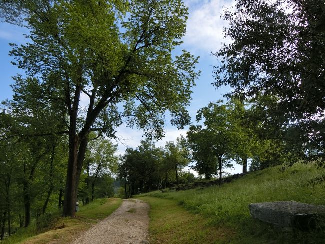 このへんはまだ道が整備されているのでOKですが、