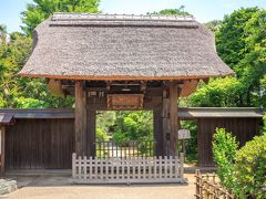 粟船山常楽禅寺
お寺の後ろには、大船の名前の由来となった粟船山があります。
なんでも、粟船が訛って大船になったらしい・・・