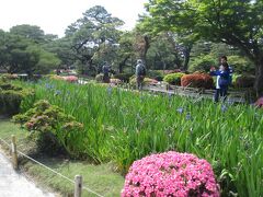 ２日目。兼六園にやってきました。あやめ（？）がきれいです。