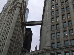 『The Wrigley Building（リグレービル）』
チューインガムのリグレー社の本社ビルで、時計塔はシカゴ摩天楼の代表のひとつなんだって☆