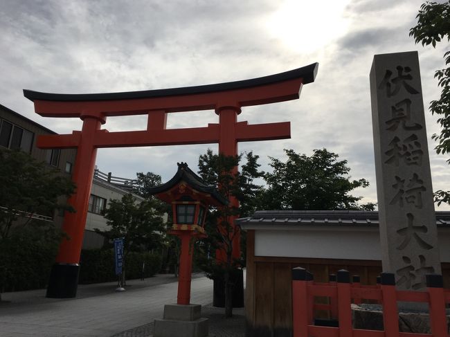 混雑を避けて朝早くに出かけました。