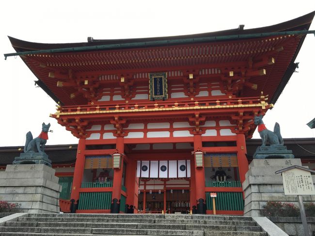 建物も綺麗になりました！