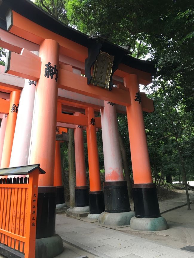 伏見稲荷大社に来たら、やはり赤い鳥居ですね！