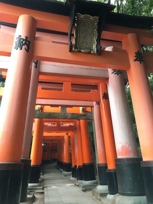 下から見上げた様子です。