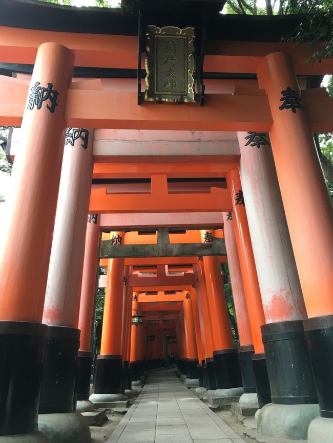 思わず何枚も撮ってしまう光景です！