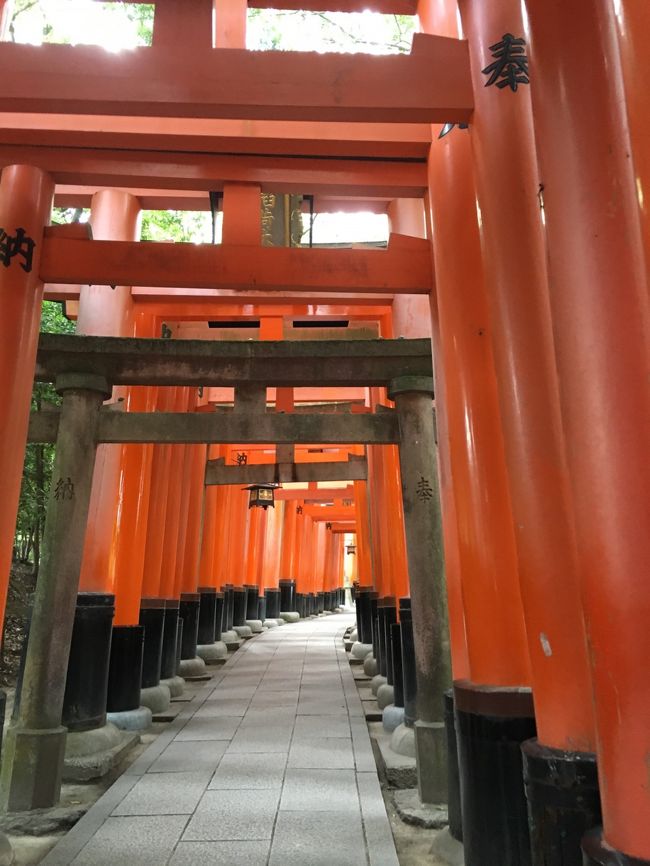 どんどん歩いて行きます。