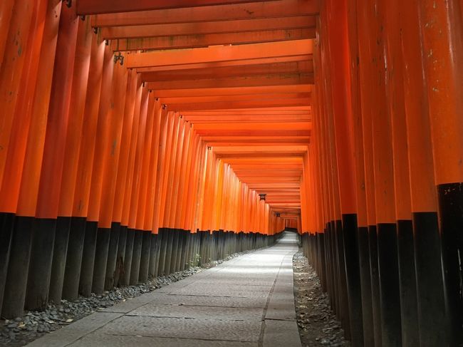 伏見稲荷大社といえば鳥居ですね！
